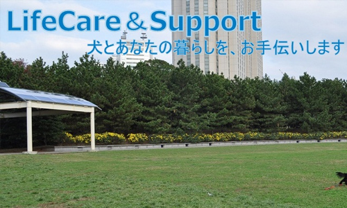 Life care&support
